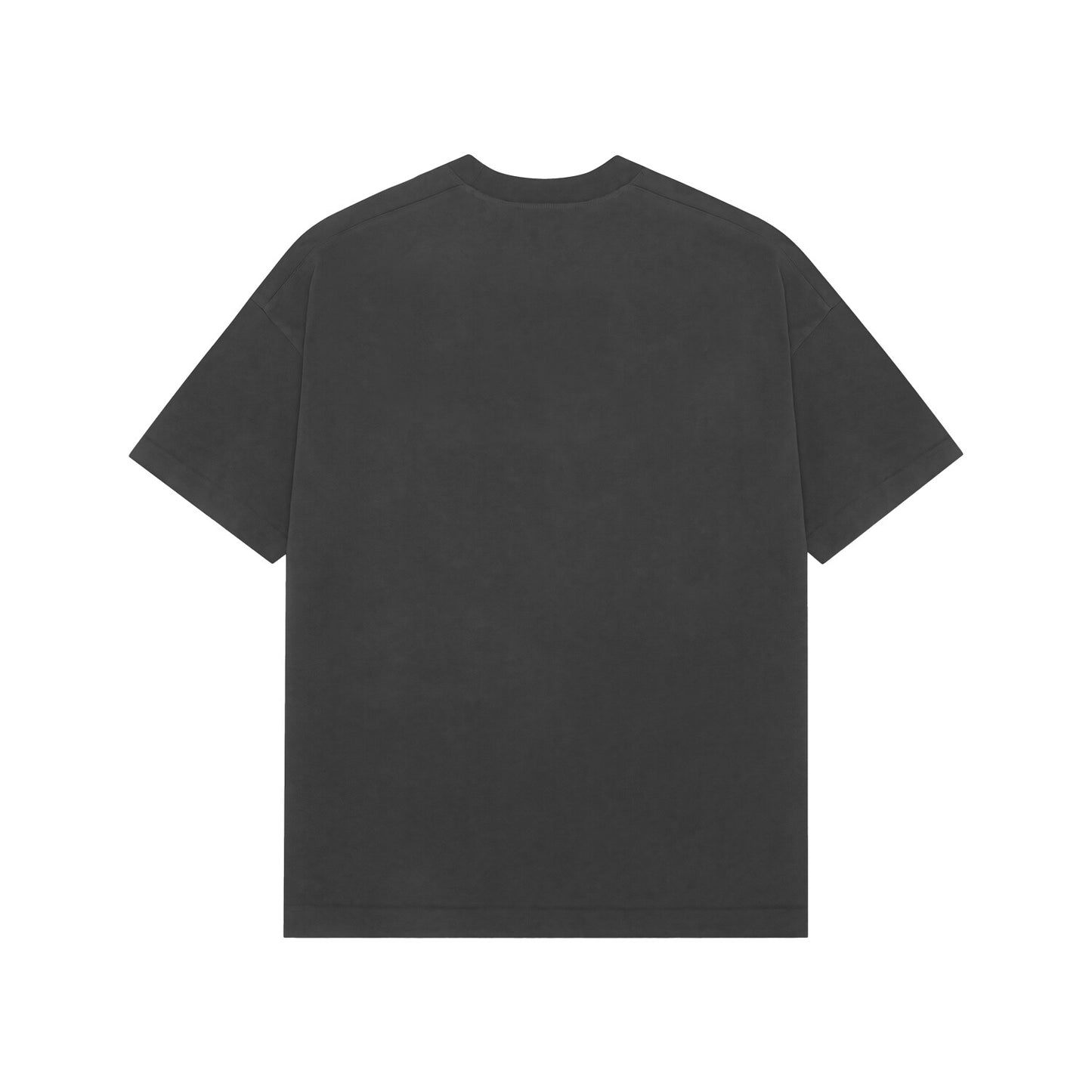 Butterfly In Hand Premium Oversized Tshirt
