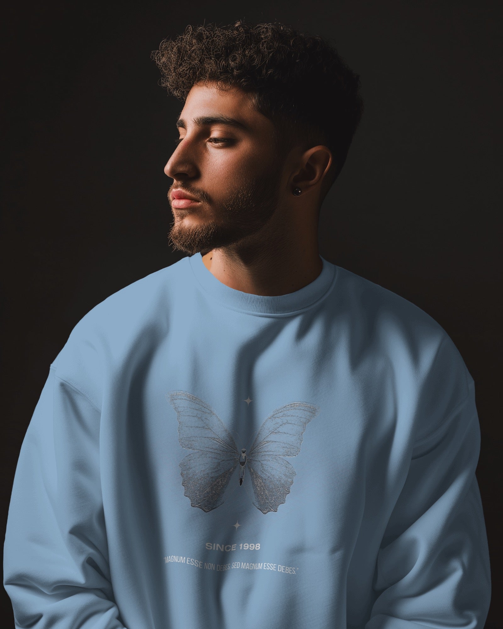 Butterfly Sweatshirt | Dhukeri Arts