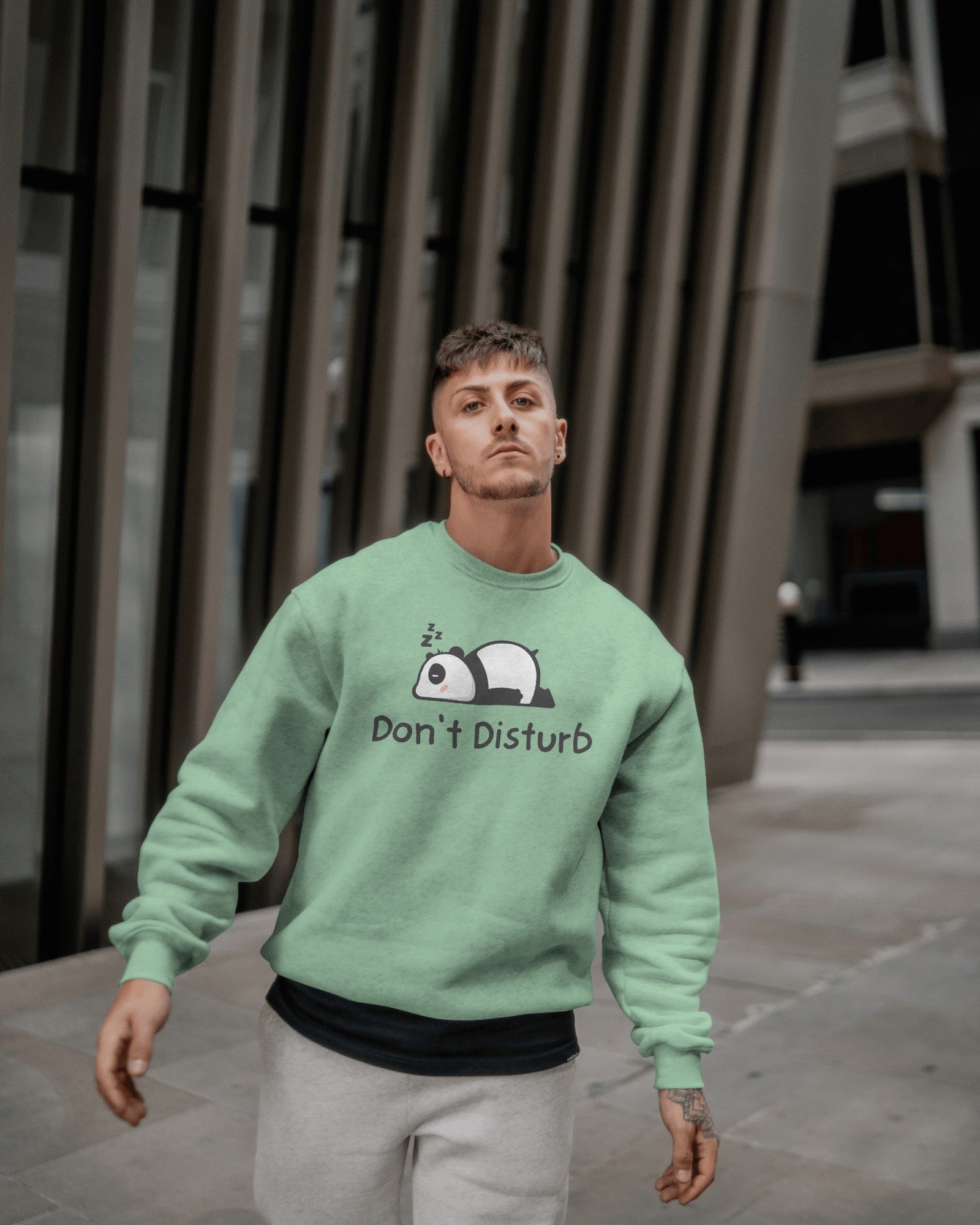 Don't Disturb Sweatshirt | Dhukeri Arts