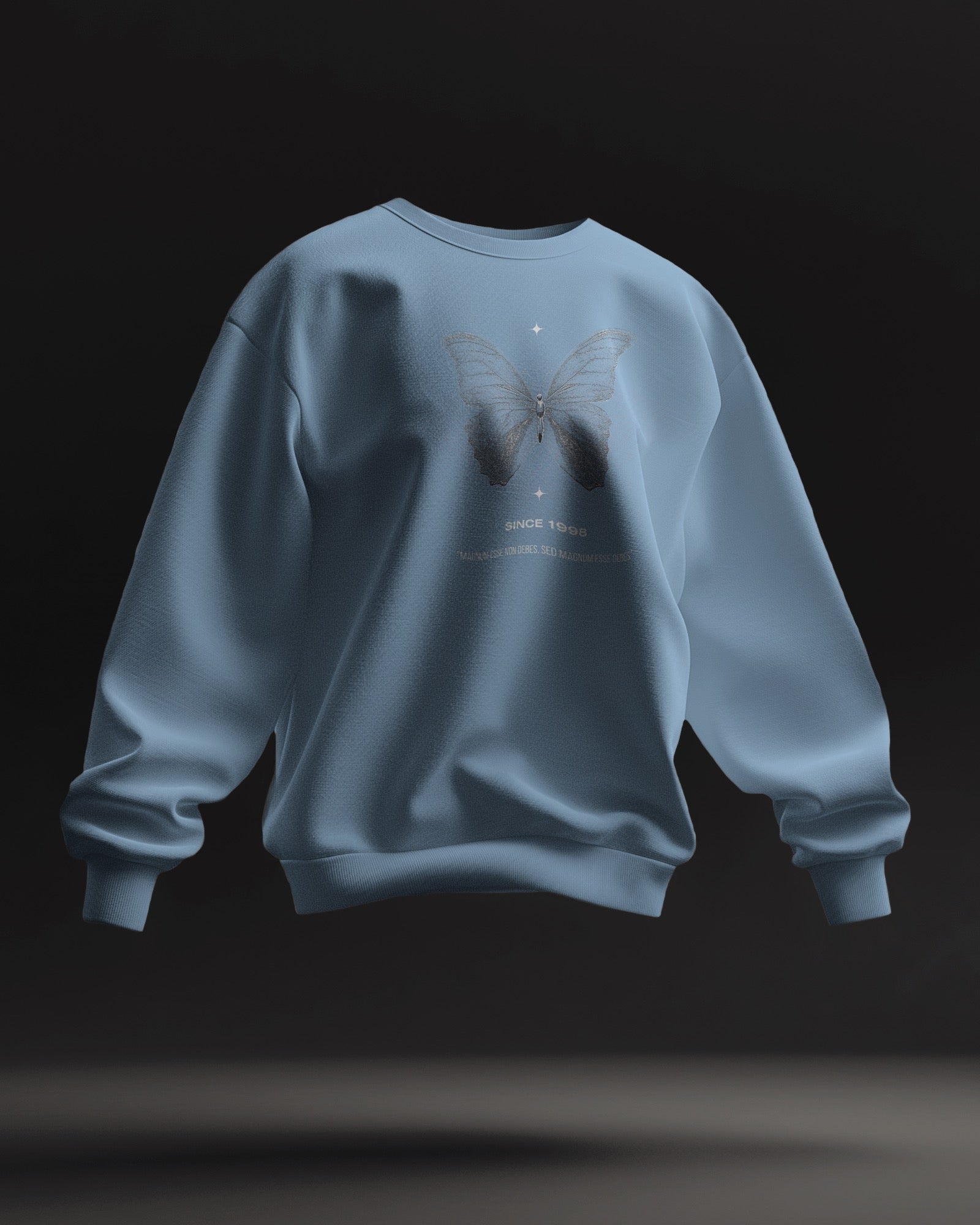 Butterfly Sweatshirt | Dhukeri Arts